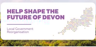 Have Your Say on the future of Devon Councils