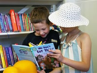 Find out about the Summer Book Quest at Crediton Library
