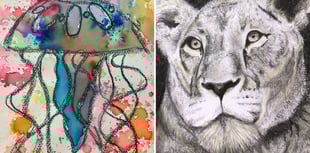 Local children impress in latest Kick Start Art challenge