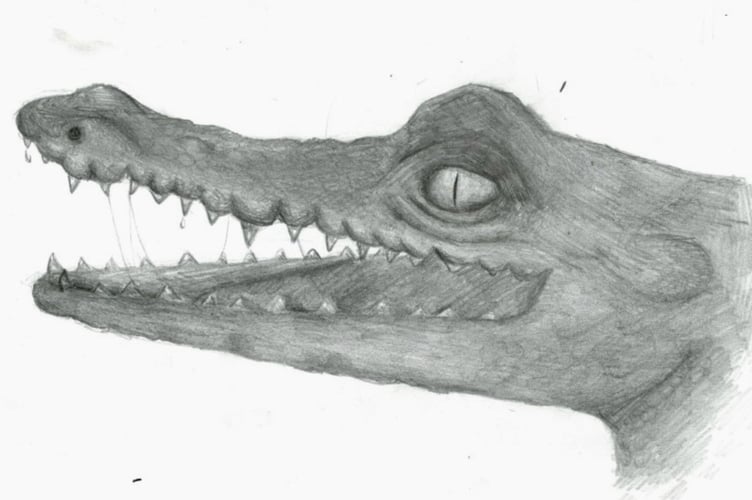 Drawing by Holly in year eight at QE