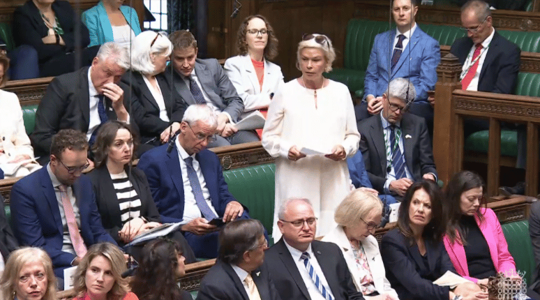 Rachel Gilmour, MP For Tiverton And Minehead, in Parliament 