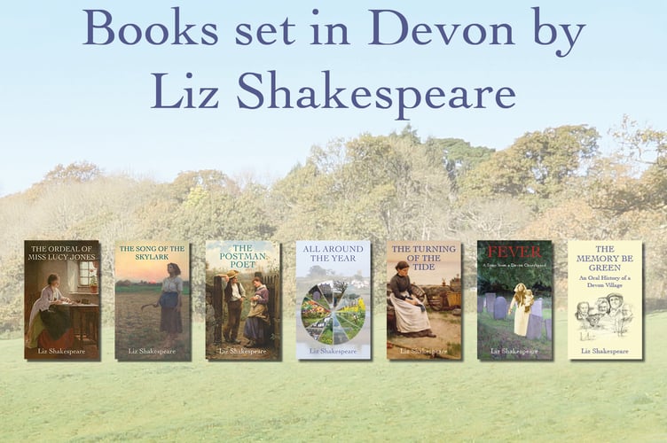 Some of the books by local author Liz Shakespeare.