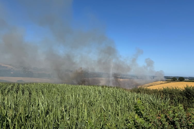 The fire spreading into the hedge and maize field. AQ 6569