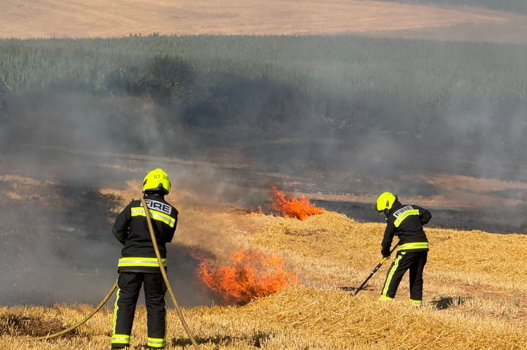 Firefighters at the Crediton field fire. AQ 6595