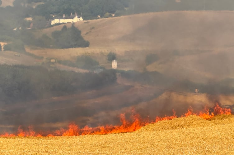 A wall of flame in the Crediton field fire. AQ 6583