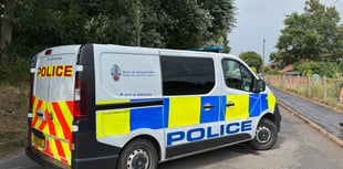 Motorists advised: Crediton road closure due to branch risk