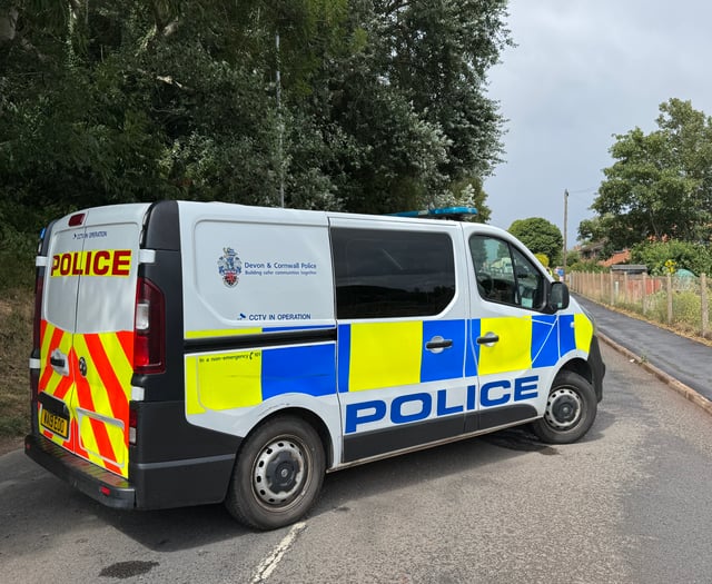 Motorists advised: Crediton road closure due to branch risk