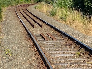 Big push for rail link to Tavistock and Plympton