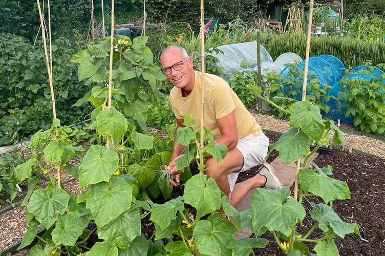 Overall Crediton allotment winner Richard Knowles, pictured on his plot.
