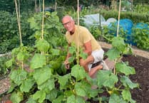 Richard is overall Crediton allotment winner