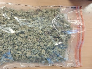 Cannabis and weapons seized near Okehampton