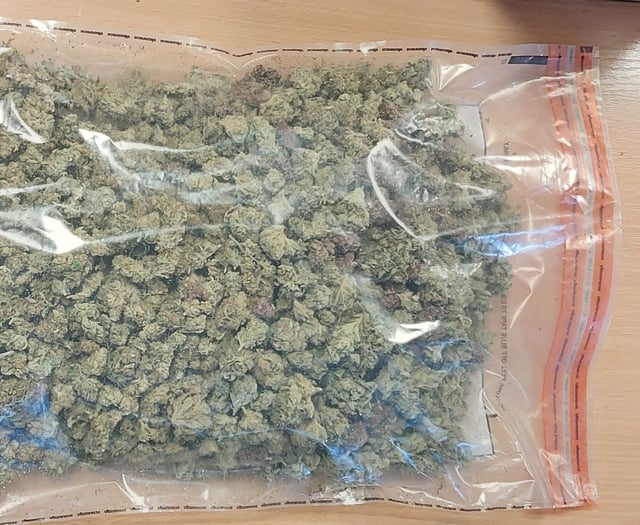Cannabis and weapons seized near Okehampton