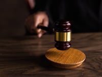 Two in court on cruelty charges to horses