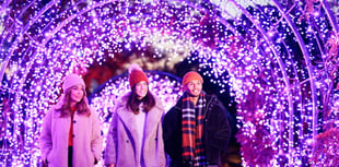 RHS Glow illuminations at Rosemoor