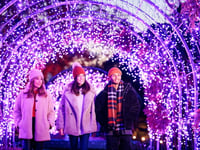RHS Glow illuminations at Rosemoor