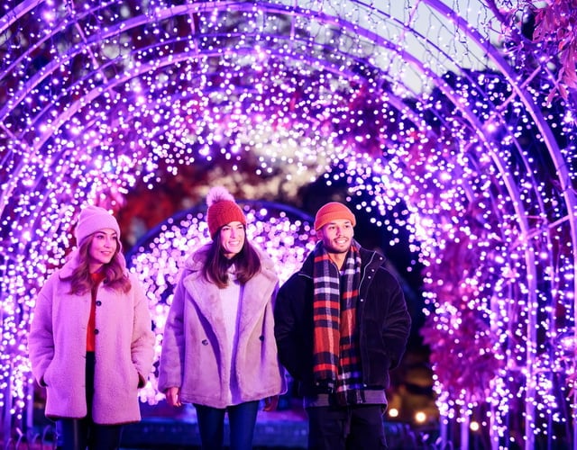 Enjoy winter illuminations at RHS Rosemoor