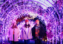 RHS Glow illuminations at Rosemoor