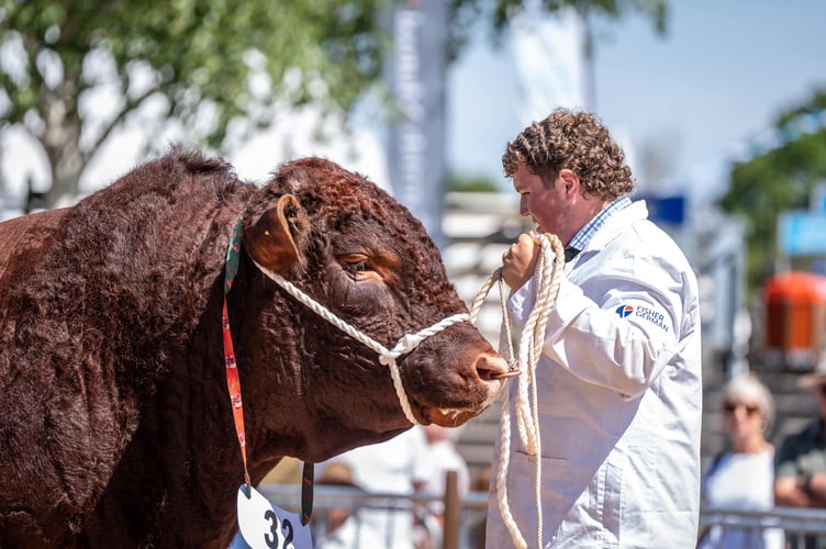 Devon Cattle Breeders' Society will host their National Competition at the 2026 Devon County Show.