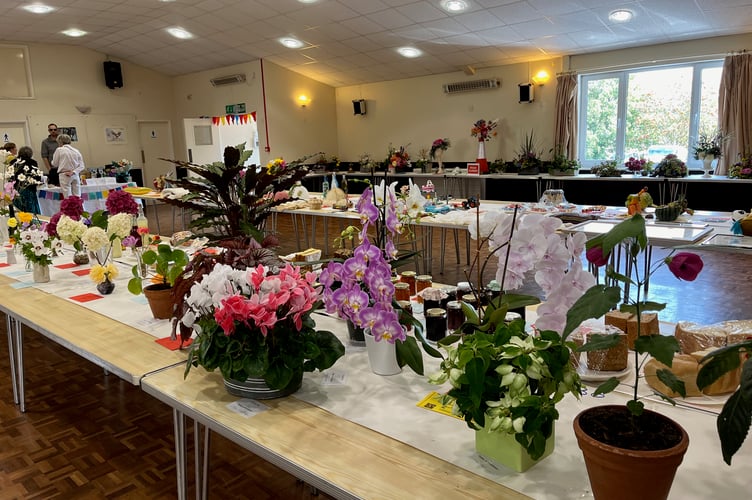 Some of the entries at last year’s Sandford Summer Show.