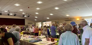 Get ready for Sandford Summer Show
