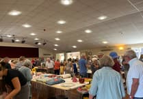 Get ready for Sandford Summer Show