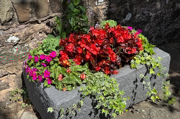 One of the floral displays at Crediton War Memorial. AQ 6238