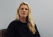 'Unforgivable' driver fails to report Dartmoor pony collision