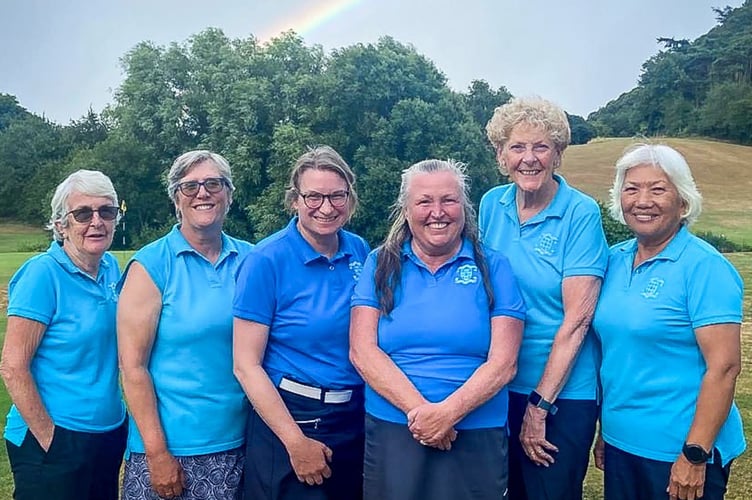 Downes Ladies Devon League Team