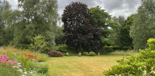Open Garden at Efford in aid of Hospiscare
