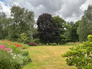 Open Garden at Efford in aid of Hospiscare
