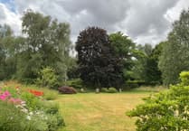 Open Garden at Efford in aid of Hospiscare