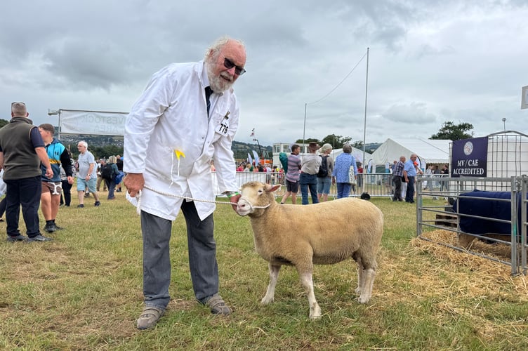 Roger Huxter from Sandford took along some of his Dorset Horns and Poll Dorsets from his South Ham Flock, pictured with shearling ewe Hermione. AQ 7546