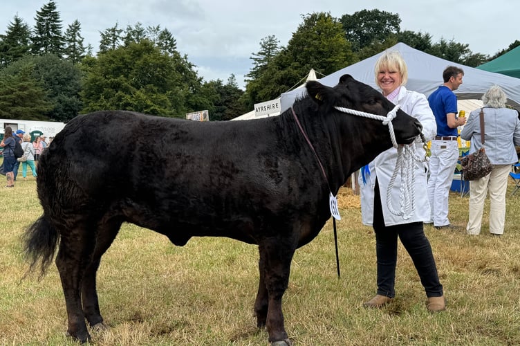 Vicky Smith from Widdington Farm, Witheridge was among the cattle prizewinners at the Mid Devon Show.  AQ 7572

