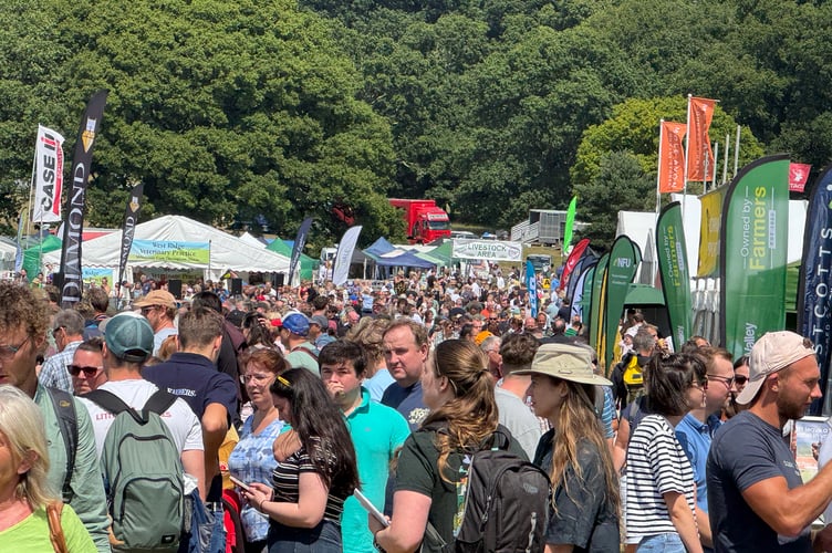 A busy avenue of people at the Mid Devon Show. AQ 7666