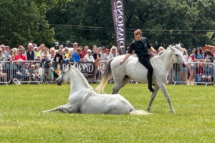 The spectacular OG Performance Horses wowed audiences with performances at the Mid Devon Show. AQ 7648