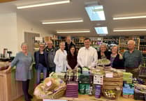 Town and Parish councillor matter