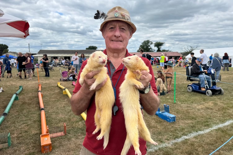 Terry Moule ran the ferret racing at Morchard Bishop Family Fun Day. AQ 8166