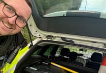 Police catch runaway sheep on A30