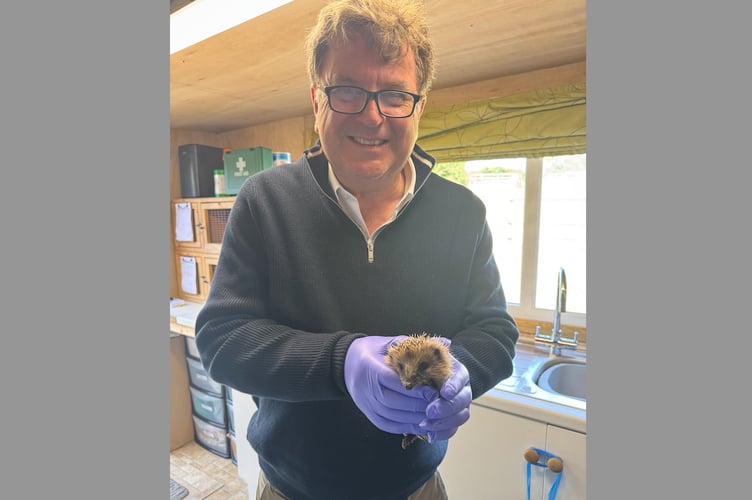 Mel Stride MP with a hedgehog at Greatfield Hedgehog Rescue.