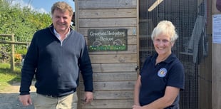 Let’s do our bit for local Hedgehogs
