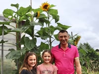 Twins love grandad’s giant sunflowers