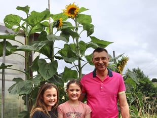 Twins love grandad’s giant sunflowers