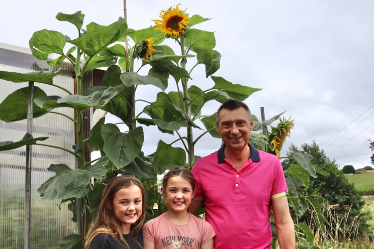 Sky, Sienna and grandad Adrian Iles with sunflowers
