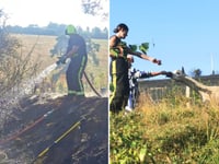 Firefighters save alpacas on Dartmoor
