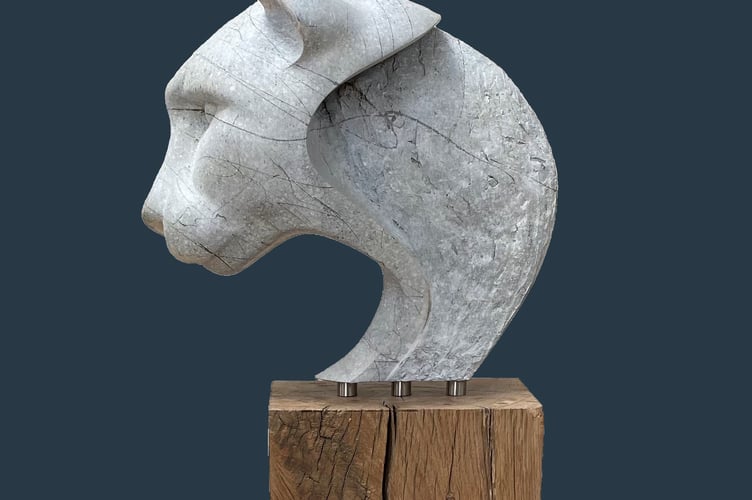 'Big Cat' by Steve Parsons.