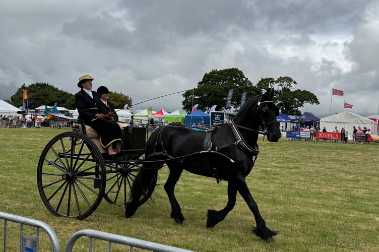 One of the competitors in the driving class in the main ring at Okehampton Show.  AQ 9951
