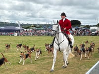 War on the countryside: Trail hunts to be banned in government action

