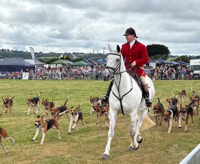 War on the countryside: Trail hunts to be banned in government action

