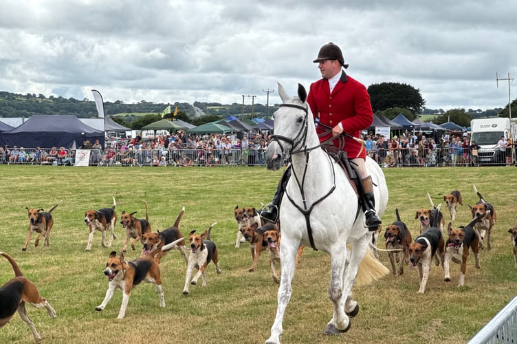 A local hunt during a parade around the main ring at Okehampton Show.  AQ 0041
