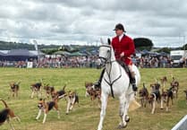 War on the countryside: Trail hunts to be banned in government action